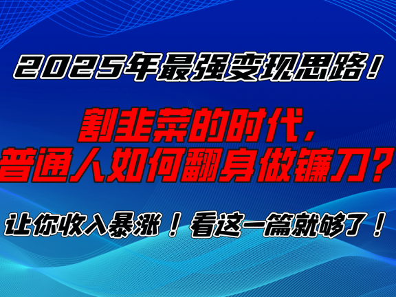2025年最强变现思路，让你收入暴涨！看这一篇就够了！